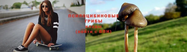 сатива Богородск