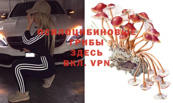 твердый Бронницы