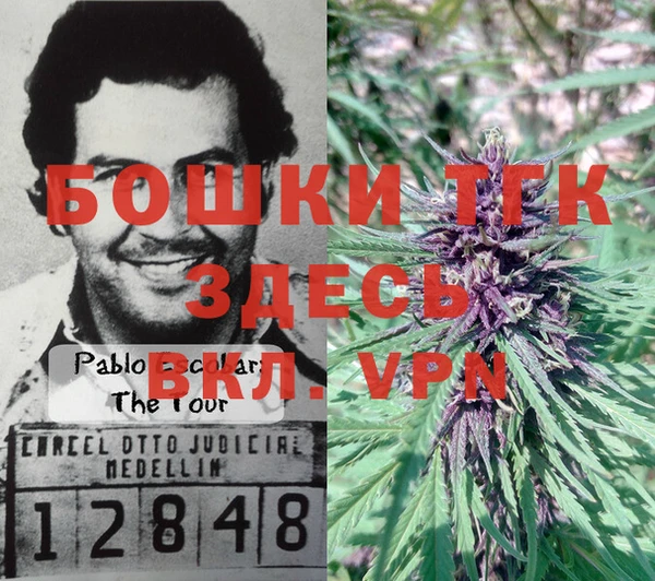 твердый Бронницы